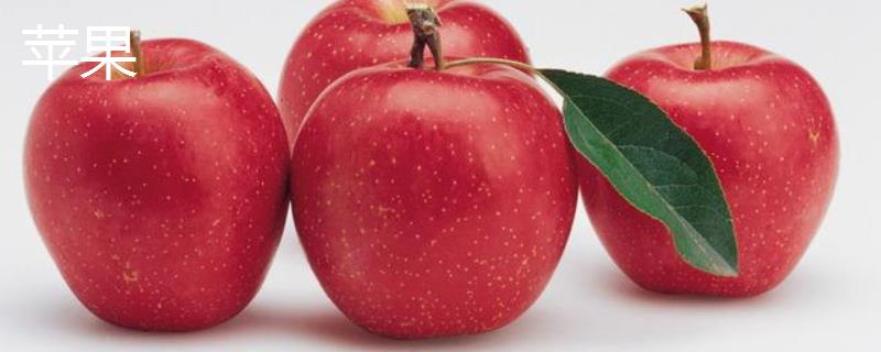 苹果和蛇果的具体区别是什么，它们两者之间有哪些不同之处