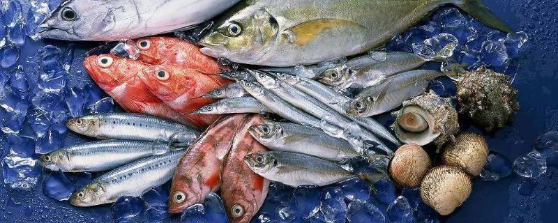 有哪些水产品养殖起来比较简单，这里分别介绍几种具体的养殖类型