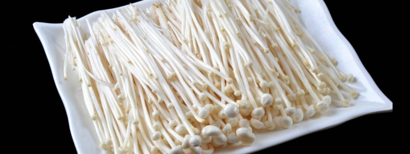 颜色已经变黄了的金针菇究竟还能不能吃，金针菇怎么保存才能够保证它不会变黄呢