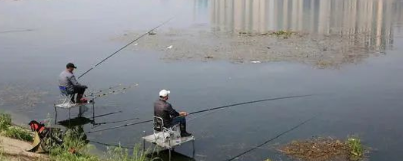 在春季可以选用哪几种类型的饲料钓鱼，具体的实战钓法技巧又有哪些呢