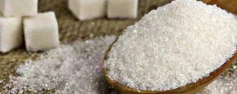 白糖里出现了蚂蚁还能不能继续食用，白糖日常储存的各种注意事项有哪些