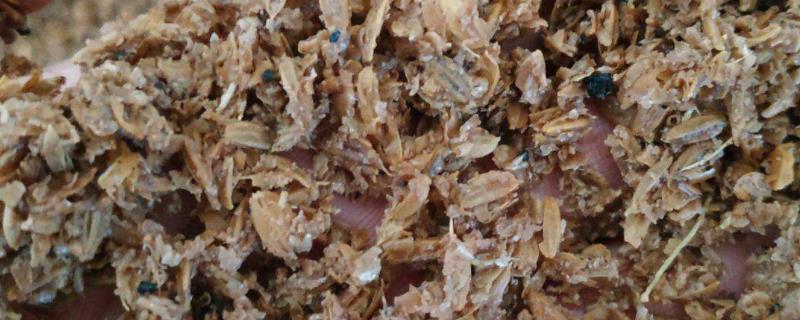 什么是啤酒糟呢，啤酒糟发酵的具体操作方法有哪些