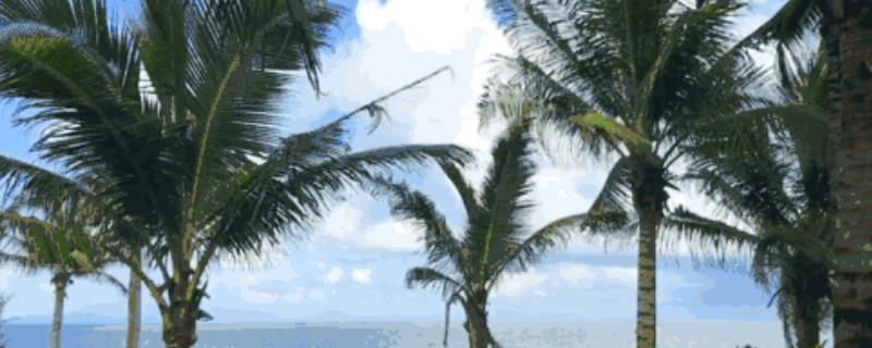 果树种植有哪些新技术，一定要注意病虫害的综合防治