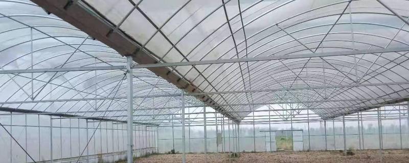 第五代日光温室大棚的具体造价需要多少钱，这种大棚究竟具备哪些核心的优点