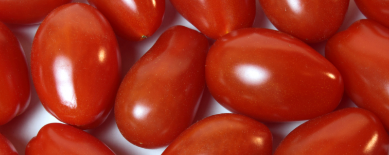 圣女果的高产种植方法有哪些，附带详细的种植步骤有哪些