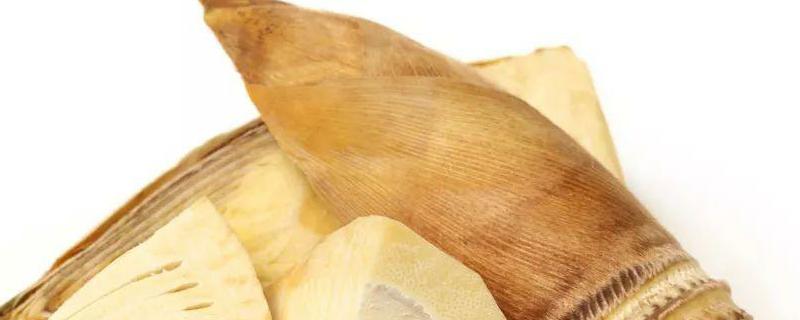 现在的冬笋价格具体多少钱一斤，新鲜冬笋应该如何快速采挖