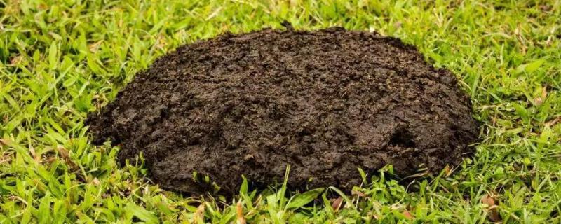 有机肥料的具体制作方法有哪些，有机肥料的详细基本内容简介