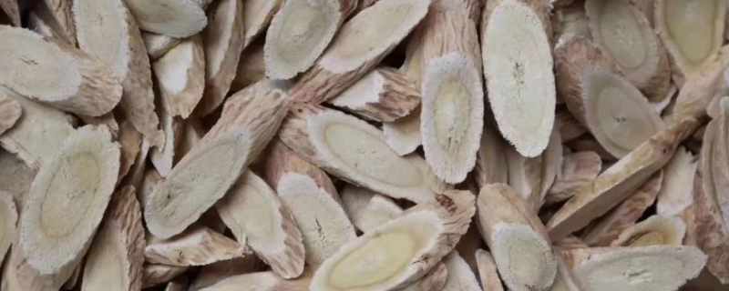 黄芪的生长种植条件有哪些，黄芪的详细种植时间是什么时候