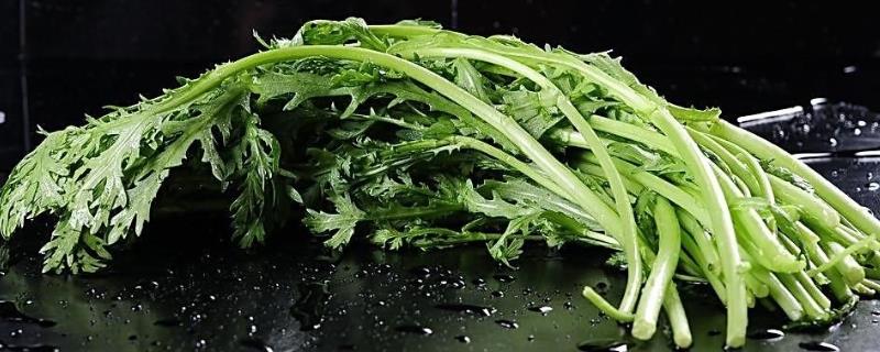 茼蒿的产地分布在哪些地方，茼蒿生长的产地环境要求有哪些