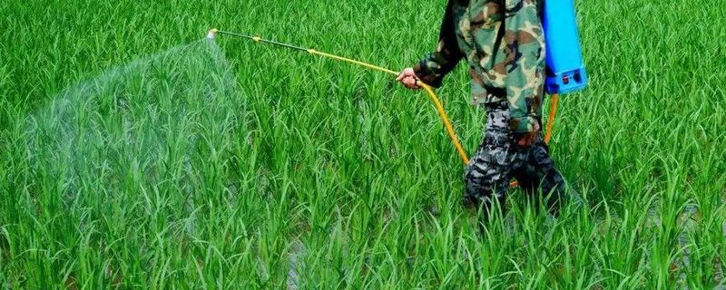 微生物农药使用的常见误区有哪些，具体的使用方法究竟是怎样的