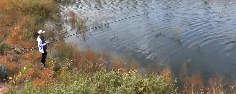 传统钓鱼时选择哪种鱼钩更好，使用单钩效果好还是使用双钩效果更好