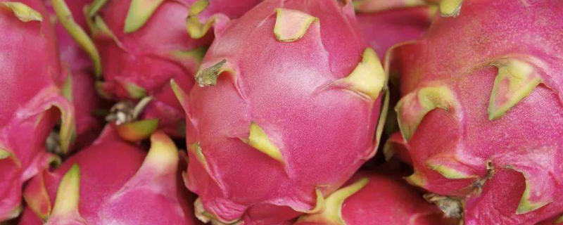 火龙果的原产地具体在哪里，中国境内的产地主要集中分布在华南地区