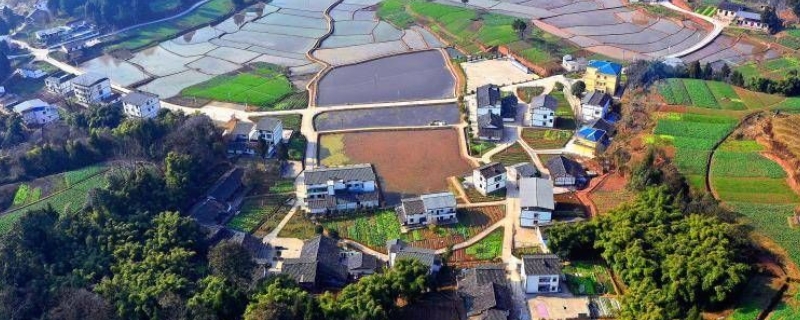 在农村地区进行创业具体有哪些方面的独特优势，深入了解这些利好条件后你还会一直抱怨吗