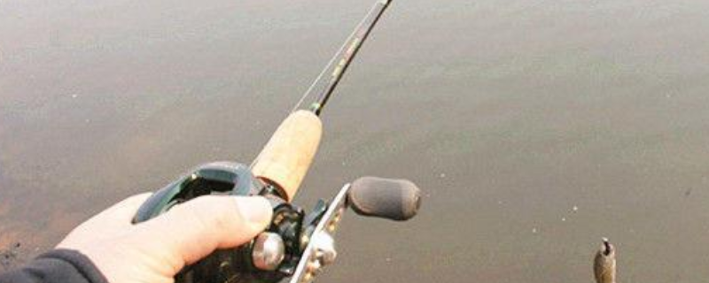 路亚钓法的具体操作技巧有哪些，以下是为您整理的详细内容