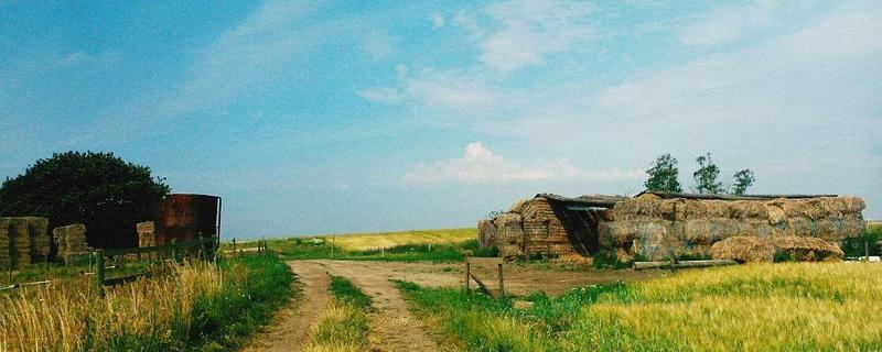究竟该怎样突破农村创业失败的瓶颈，优质的农村创业项目又该如何去选择