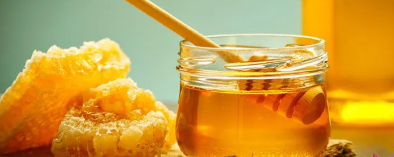 取蜂蜜的具体季节和时间点，究竟应该如何正确取蜜