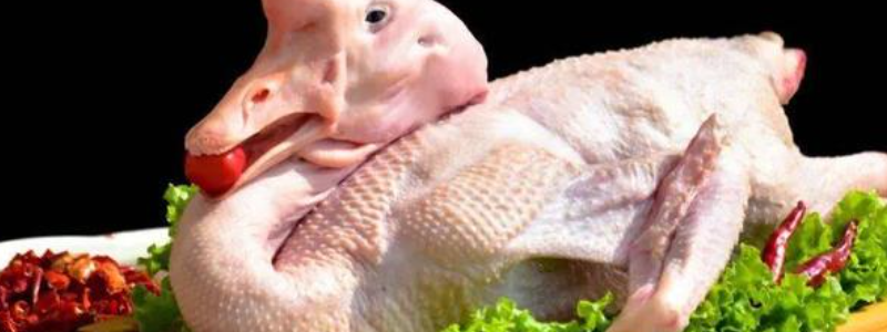 大鹅怎么杀才好脱毛，有什么简单又干净的褪毛小技巧吗