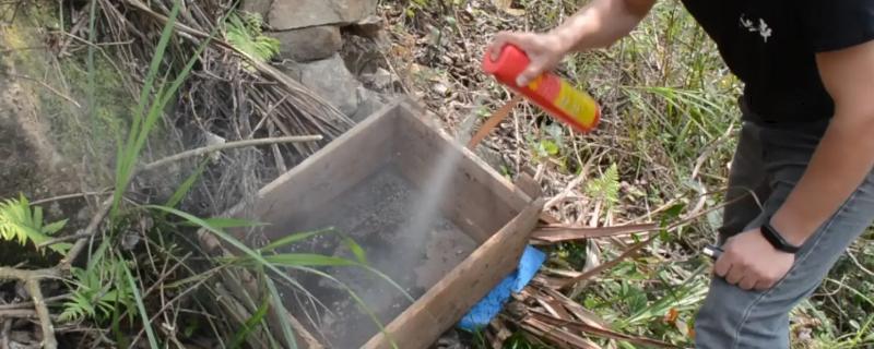 诱蜂水的配方有哪些，具体的详细制作方式是什么