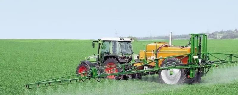 使用氢氧化铜时有哪些注意事项，在作物的花期以及幼果期绝对禁止使用