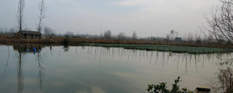 如何规划建造养殖黄鳝与泥鳅的池塘，具体的建设流程与施工方案有哪些