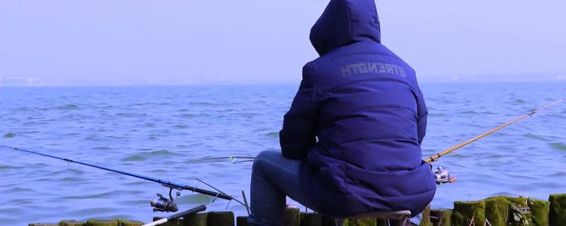 初冬这种天气到底适合钓鱼吗，只要钓法对路子就完全无需去看天色