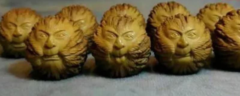 猴头究竟是什么植物的种子呢