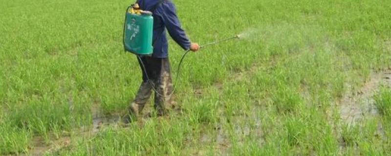 来施净除草剂的具体使用说明书，详细的操作方法和注意事项有哪些