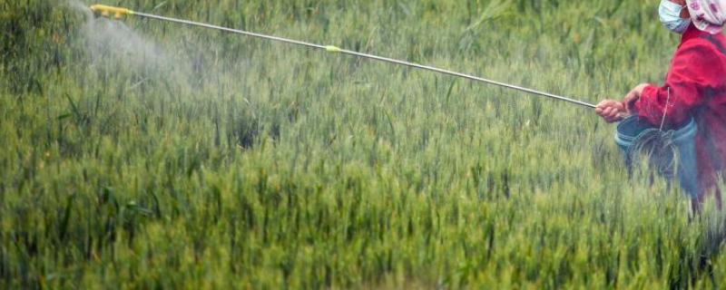 使它隆除草剂的使用说明书，它的具体用法和用量是多少