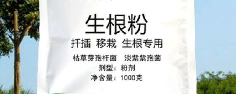 植物生根剂具体包含哪些品种呢