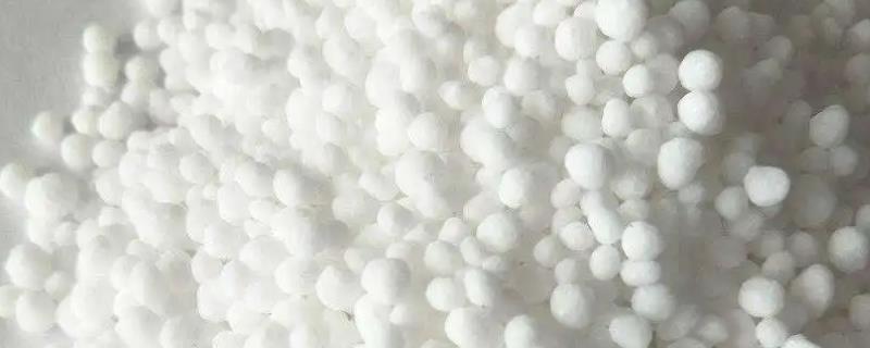 氮肥直接撒在地面上大约多久会失去肥效呢