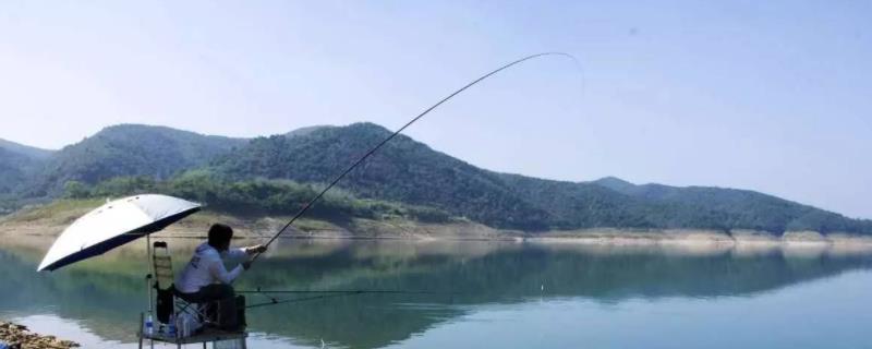 初春东南风吹来适合钓鱼吗,还是根据天气情况决定好