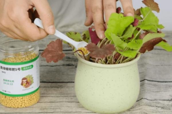 花卉施肥方法，不同种类对肥料的要求不同