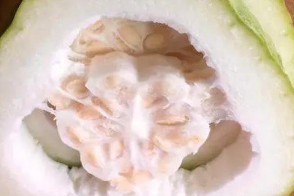 冬瓜种子高产要点,成熟后要及时取种贮藏