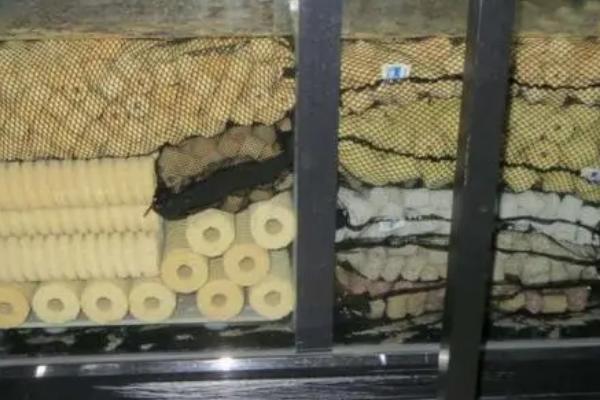快生产的孔雀鱼有何表现,即将生产时不喜欢游动