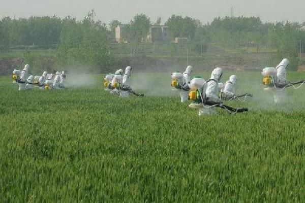 洪涝灾害对农业有什么影响,作物受害时产量和品质均会下降