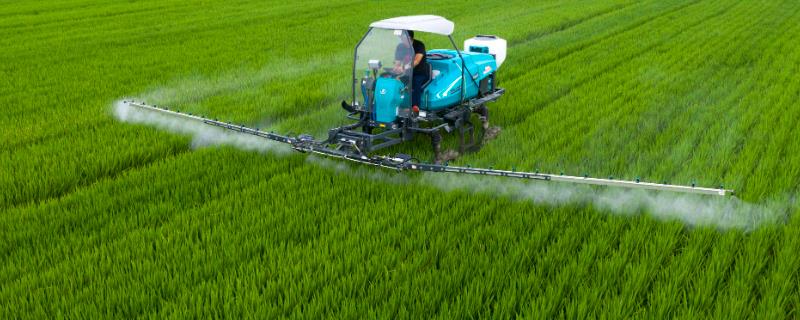 将洗衣粉添加在农药中能否增强其杀虫药效，它的确可以增效但不能和遇碱易分解的药物混合使用