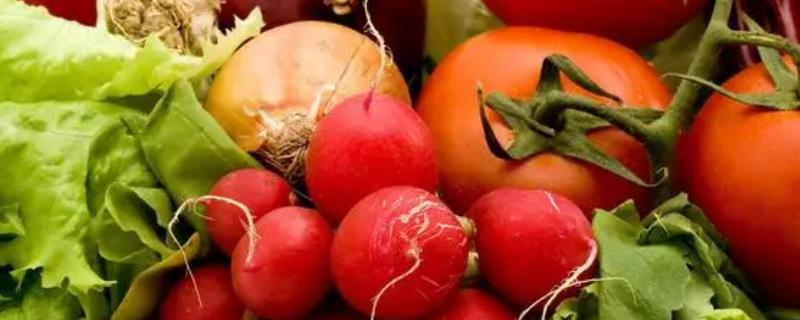 掌握叶菜类蔬菜的施肥技术，如何因菜类施肥