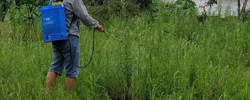 草甘膦铵盐的防治对象有哪些，它能够防治一年生和多年生禾本科杂草吗