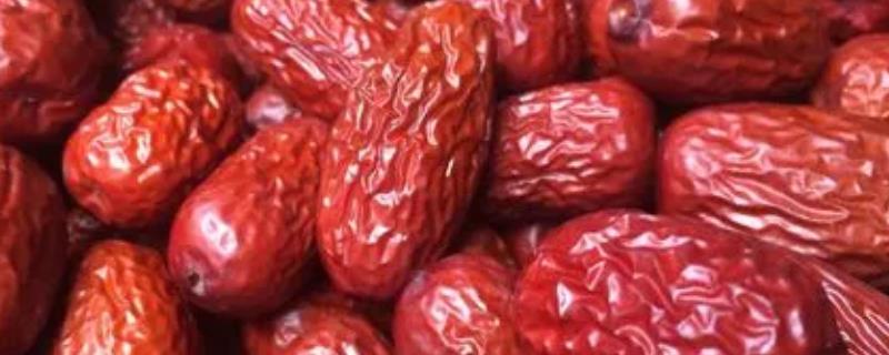 红枣盛夏的管理要点，需注意排水以及灌水