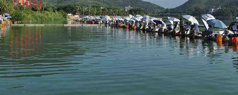 黑坑钓鱼需要使用什么样的小药，可以根据不同的季节环境来决定