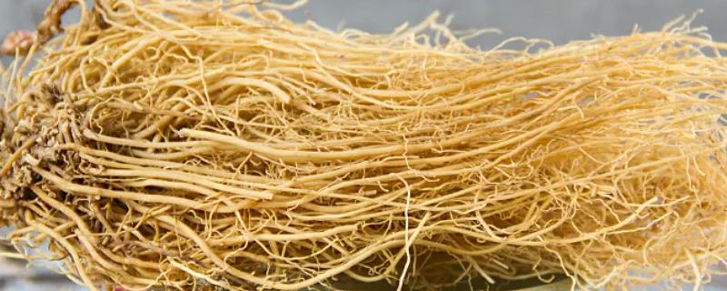 细辛的具体品种有哪些，主要涵盖了辽细辛以及华细辛这两种常见类型