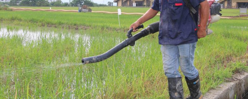 详细的国采1号肥料产品介绍，使用该产品之后可以促进根系壮大幼苗并有效改善土壤结构