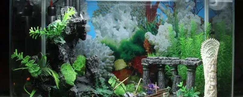 鱼缸水泵老是吸住那些游动的小鱼该怎么办，可以在出水口的位置处蒙上一层轻薄的丝袜