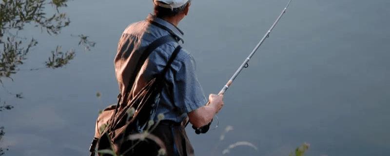 夏季如何进行钓位选择，首先应该选择的是水层深度