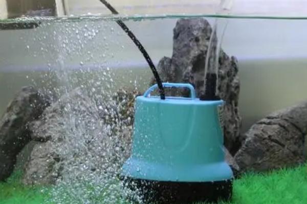 鱼缸水泵老是吸住小鱼怎么办，可在出水口处蒙上丝袜
