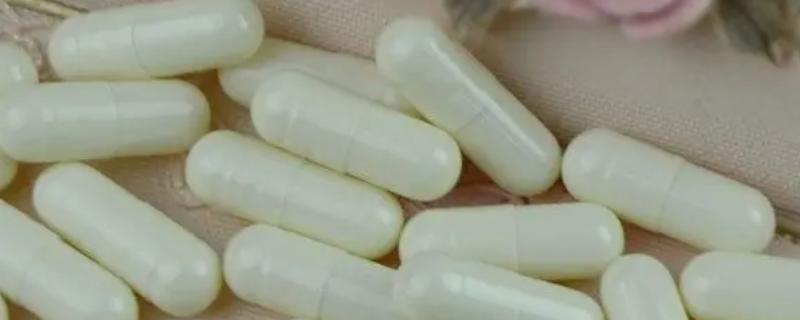 能否直接将硝化细菌胶囊丢进鱼缸里，将其打开之后是否可以直接放入