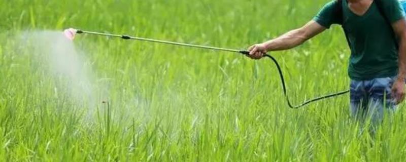 高氯与甲维盐复配有什么好处，其防治效果非常显著并且持效期更长