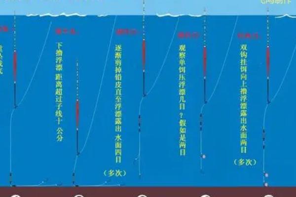钓鱼如何调漂，可通过修剪铅皮调节重量