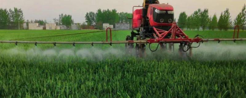 双氟磺草胺在小麦拔节之后还能继续使用吗，在小麦进入拔节期以后其实并不建议施用