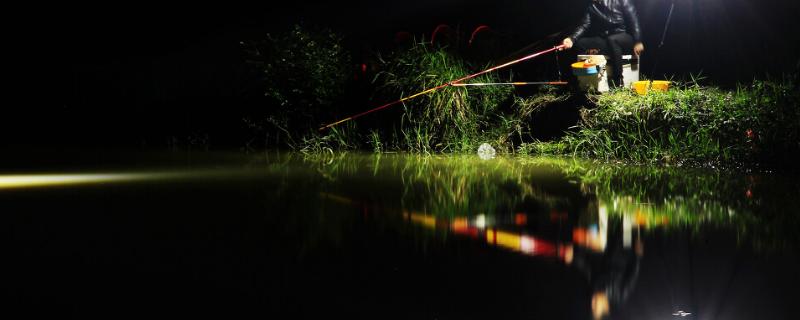 6月份进行夜钓为什么老是没口，气压太低或者由于环境噪音太大均会导致